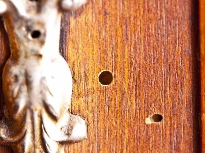 Acari del legno