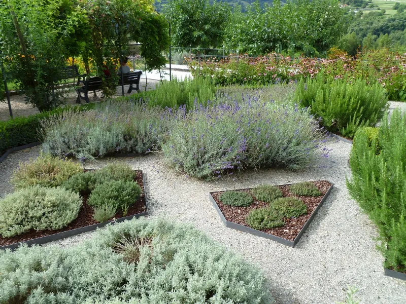 giardino aromatico
