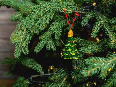 Albero di Natale vero