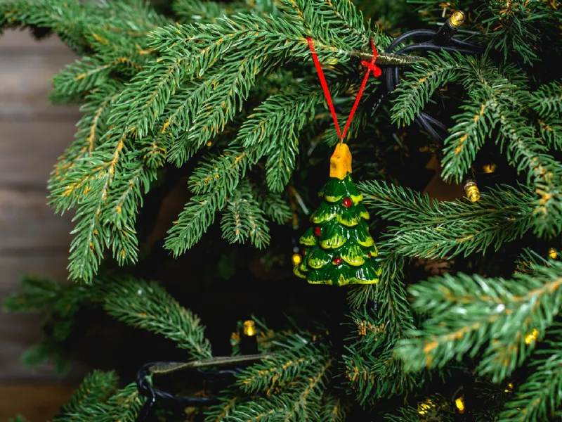 Albero di Natale vero