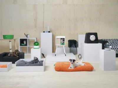 Animali in casa