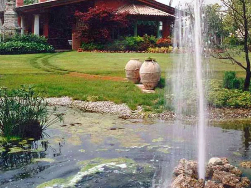 architettura giardini