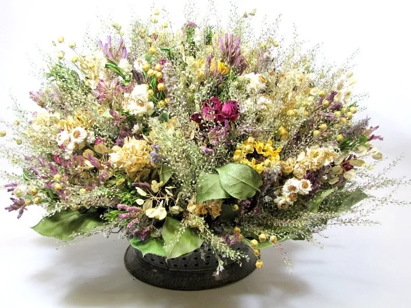 fiori secchi
