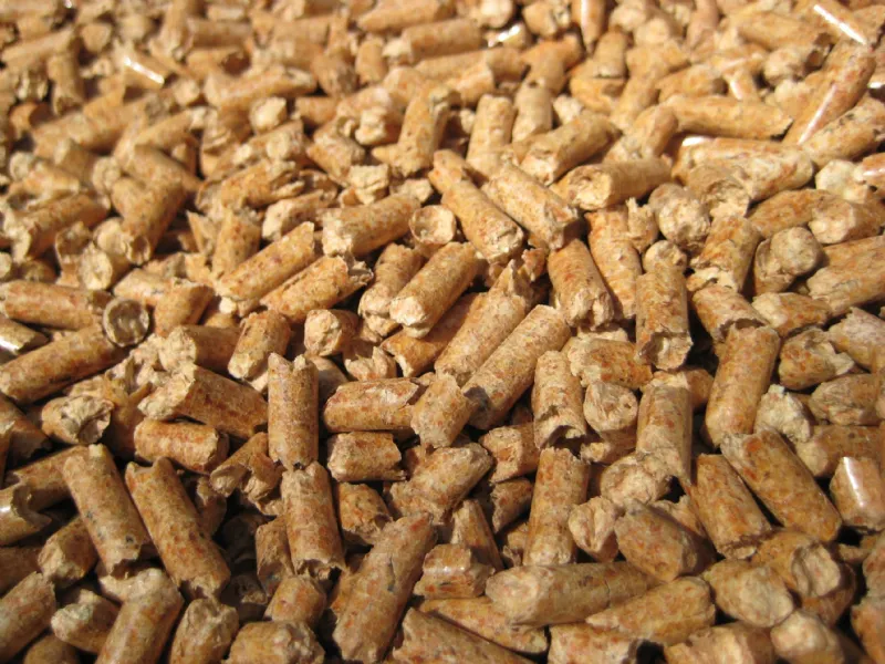 Pellet di legna