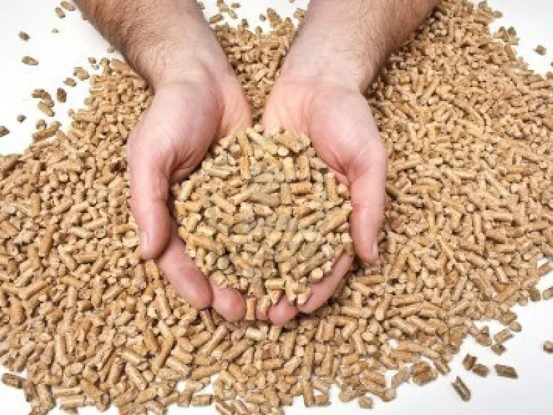 pellet