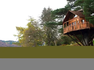 casa in legno su albero