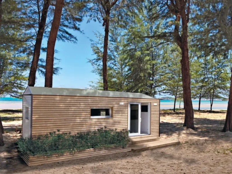 casa mobile con pareti in assi di legno chiaro e tetto spiovente, portafinestra con cornice bianca, fioriera con piante in pineta con terreno sabbioso