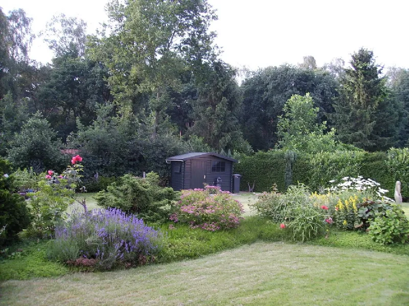 Come fare un giardino da zero