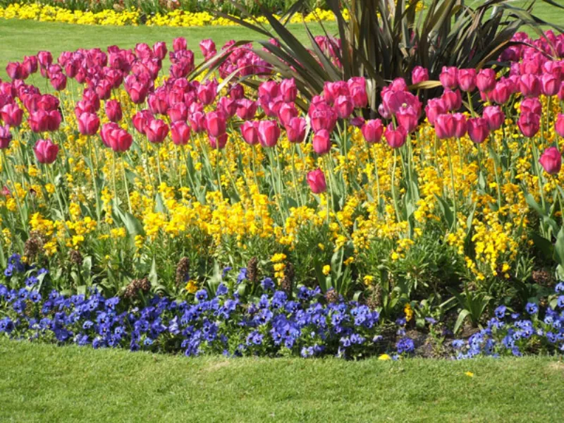 come fare un giardino