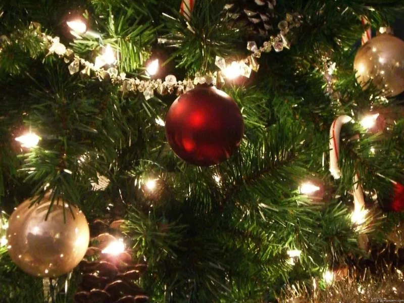 Luci per Albero di Natale