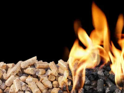 pellet migliore