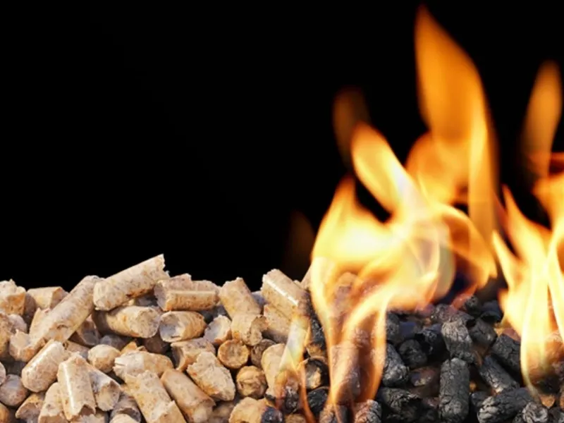 pellet migliore