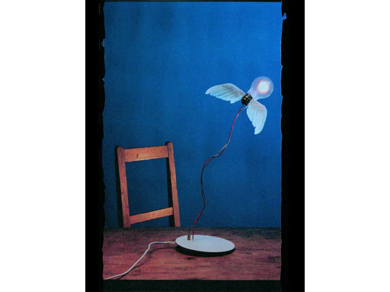 lampada concorso Pulchra