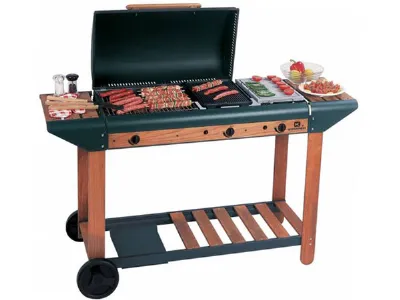 bbq a gas