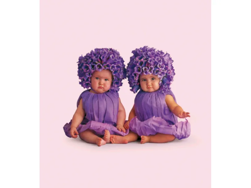 anne geddes