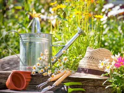 come fare un giardino