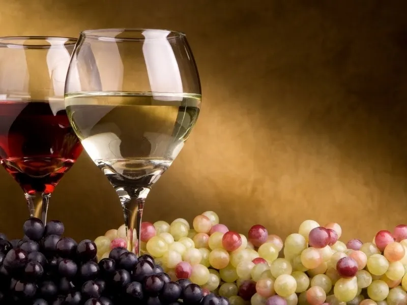 Temperatura vini