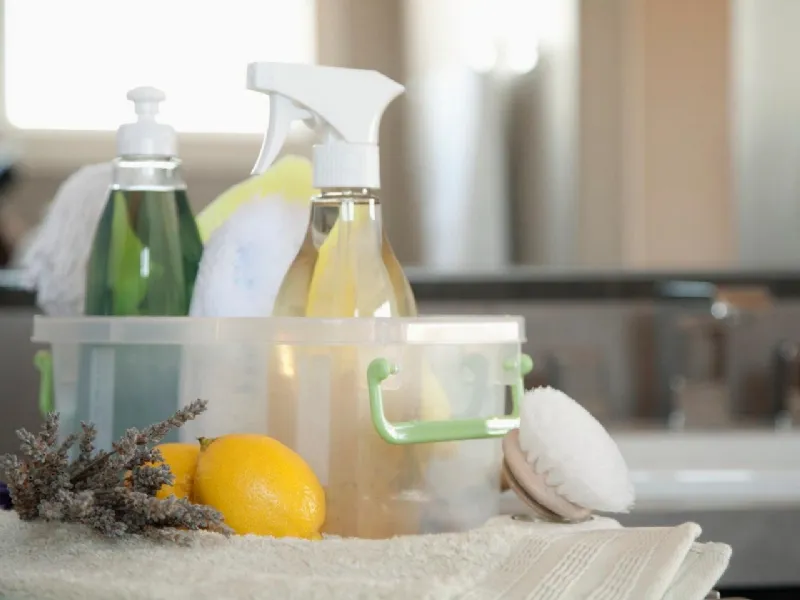 detergenti ecologici