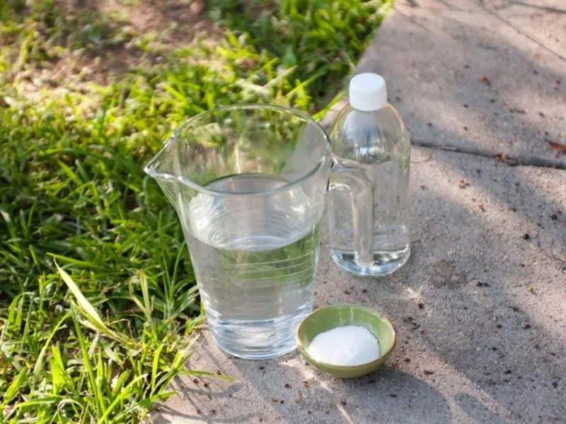 Diserbante fatto in casa