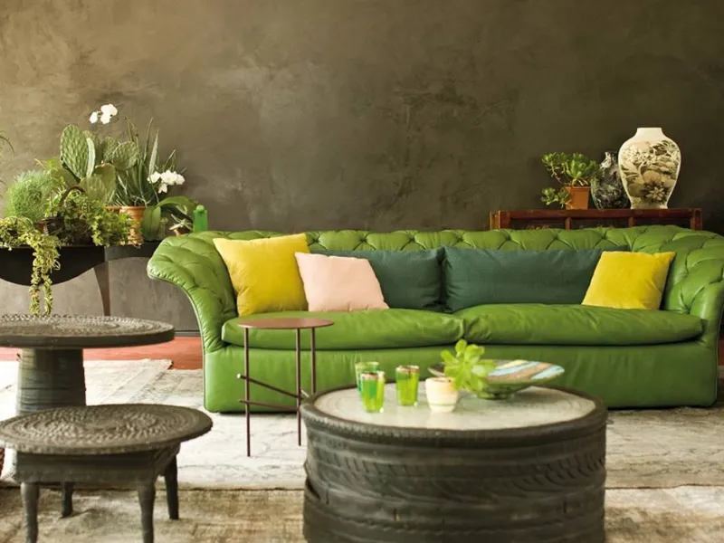Bohemian Moroso
