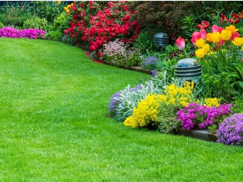 Fiori da giardino come scegliere