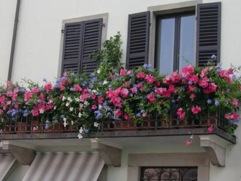 Un balcone fiorito con petunie colorate