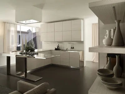 gatto cucina