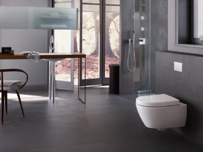 omega geberit