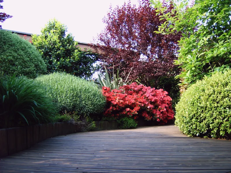 piante giardino