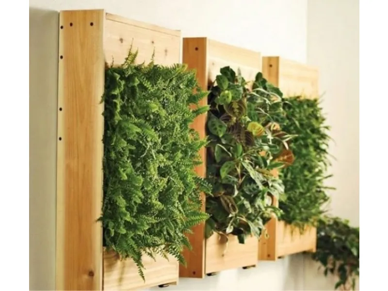 Un giardino verticale fai da te in casa