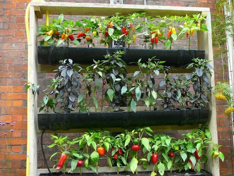 Un orto verticale da balcone