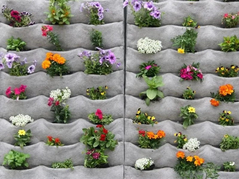 Un'idea originale per il giardino verticale