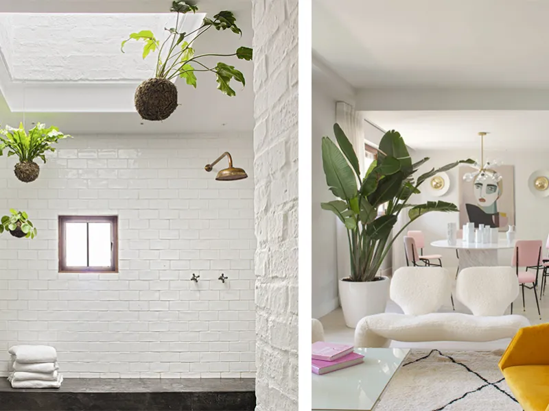 Idee decor con piante in casa