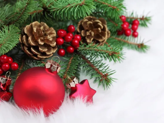 decorazioni natalizie
