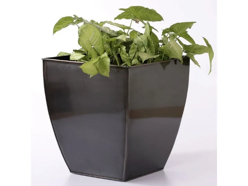 vaso moderno