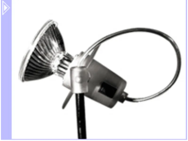 lampada ernesto