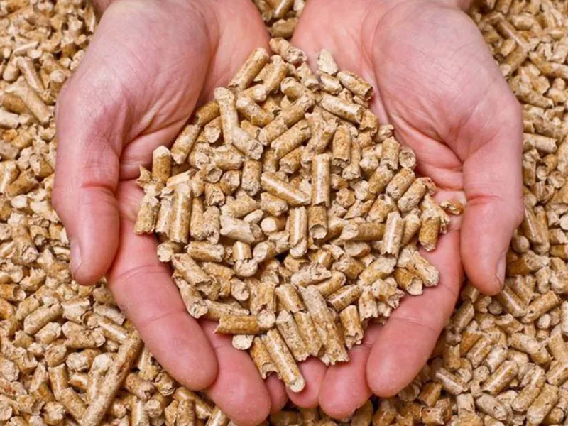 Pellet legno