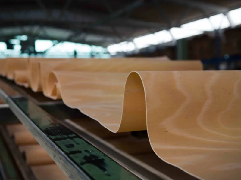 dettaglio di foglio in legno ricurvo su tapis roulant industriale