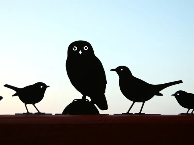 uccelli in controluce