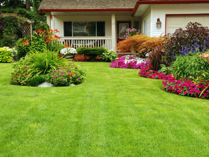 manutenzione giardino