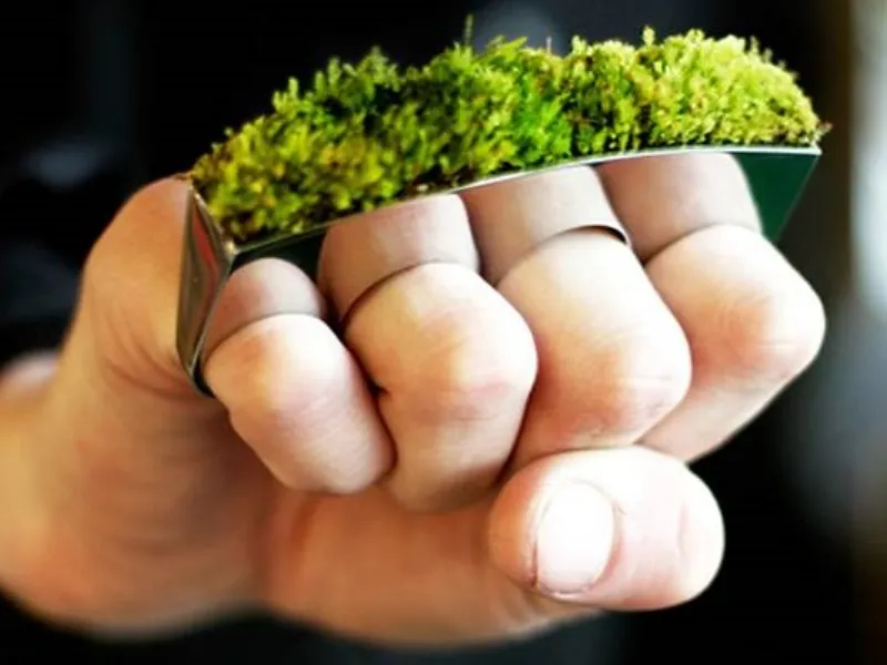 Growing Jewelry Hafsteinn Juliusson