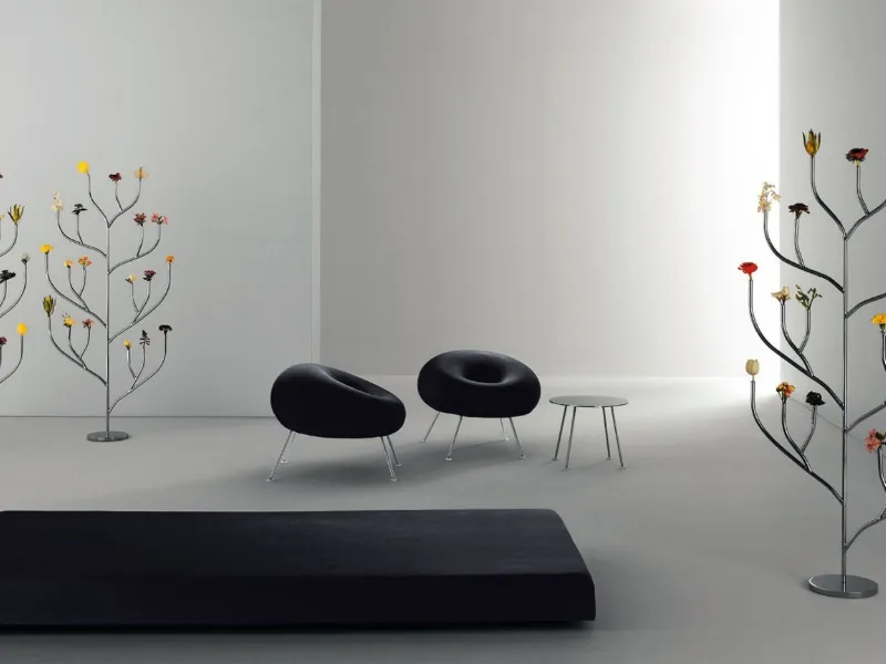 Design casa