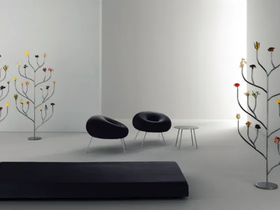 Design casa