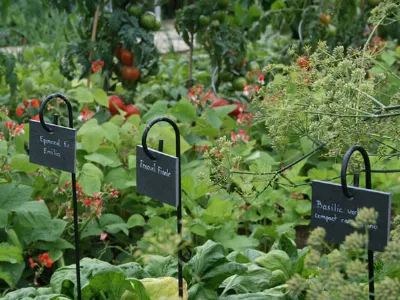 orto in giardino