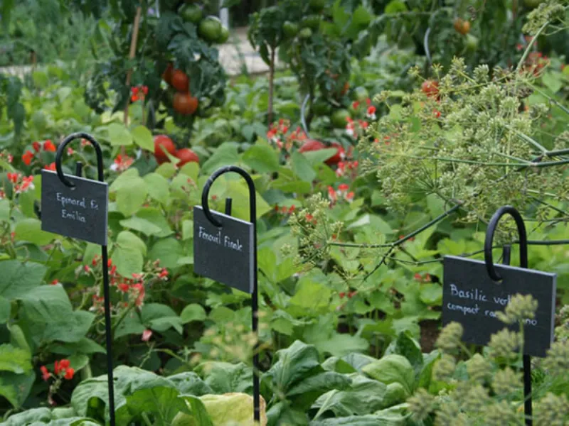 orto in giardino