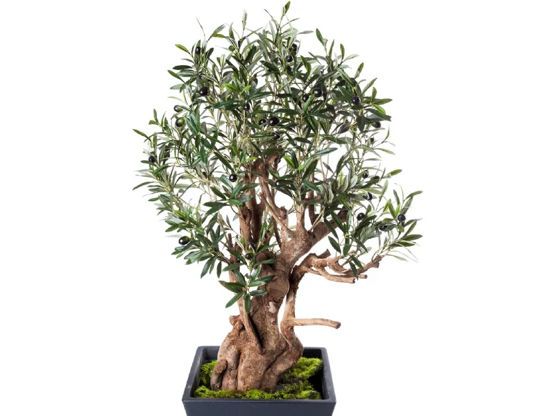 Piante da appartamento artificiali