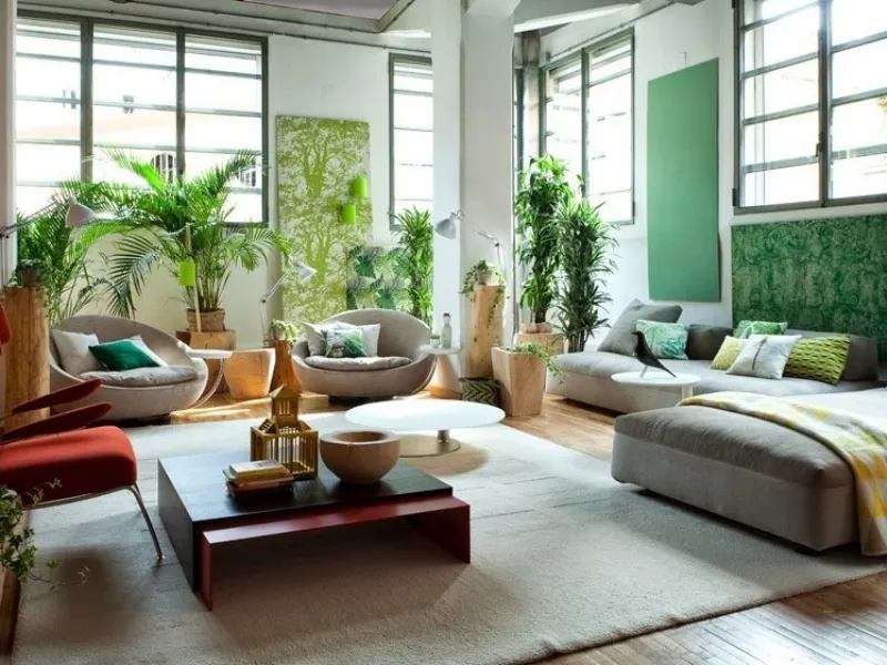 piante in casa