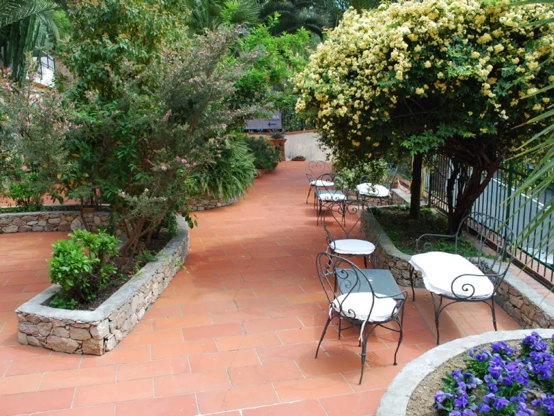 Piante da terrazzo
