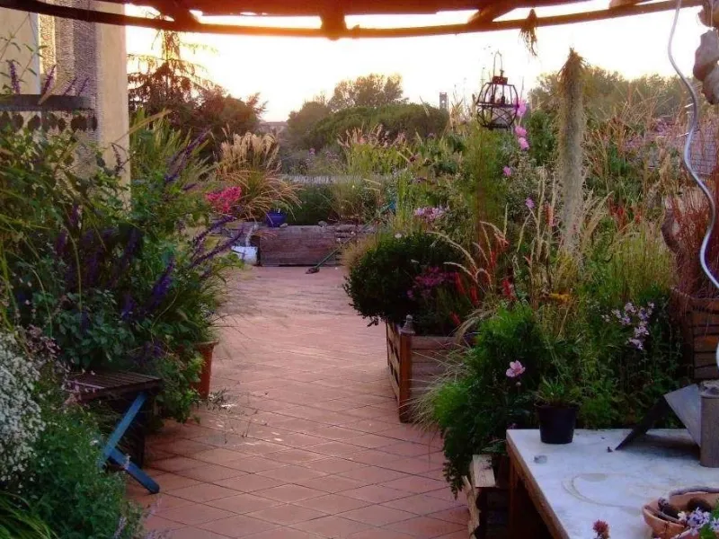 Piante terrazzo coperto