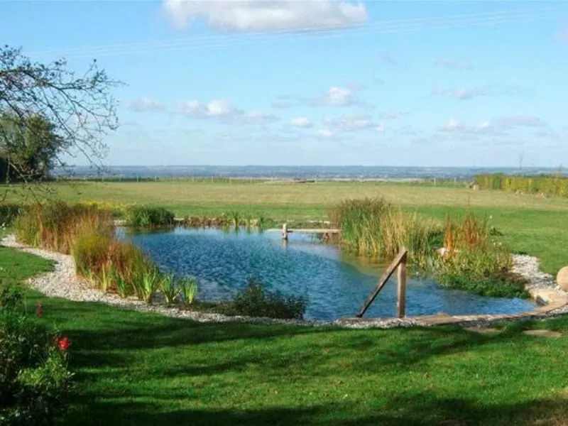 biopiscina
